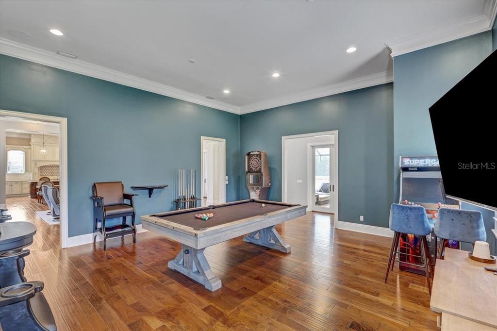 2620 Tylers Riv Run Lutz, FL 33559 - Photo 28 of 87 a living room with furniture flat screen tv and wooden floor
