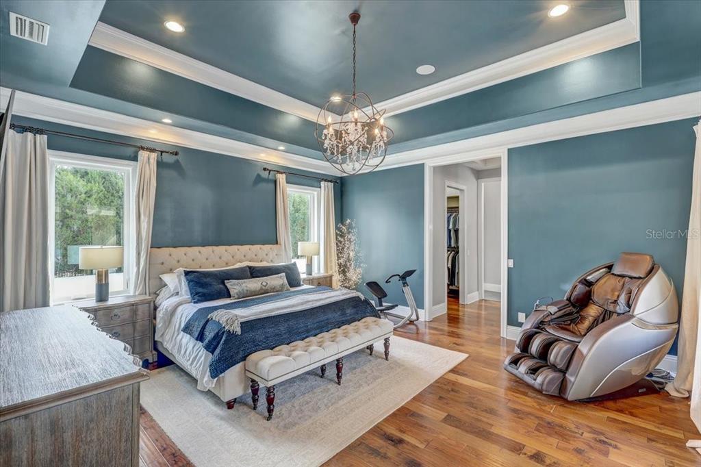 2620 Tylers Riv Run Lutz, FL 33559 - Photo 29 of 87 a bedroom with a bed and a chandelier