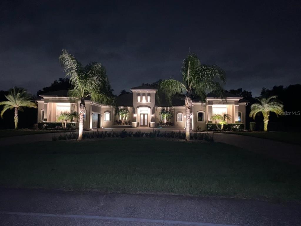 2620 Tylers Riv Run Lutz, FL 33559 - Photo 3 of 87