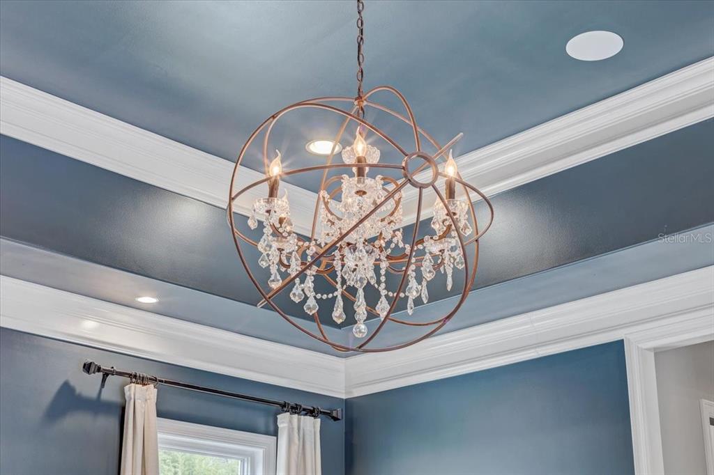 2620 Tylers Riv Run Lutz, FL 33559 - Photo 31 of 87