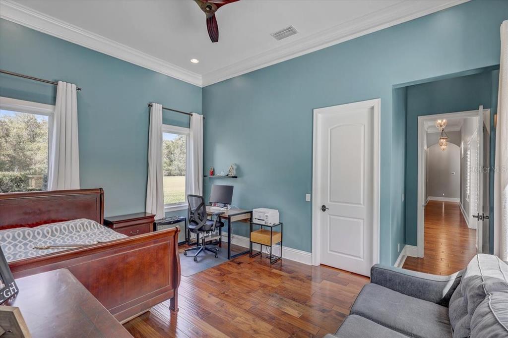 2620 Tylers Riv Run Lutz, FL 33559 - Photo 49 of 87 a living room with furniture and a window