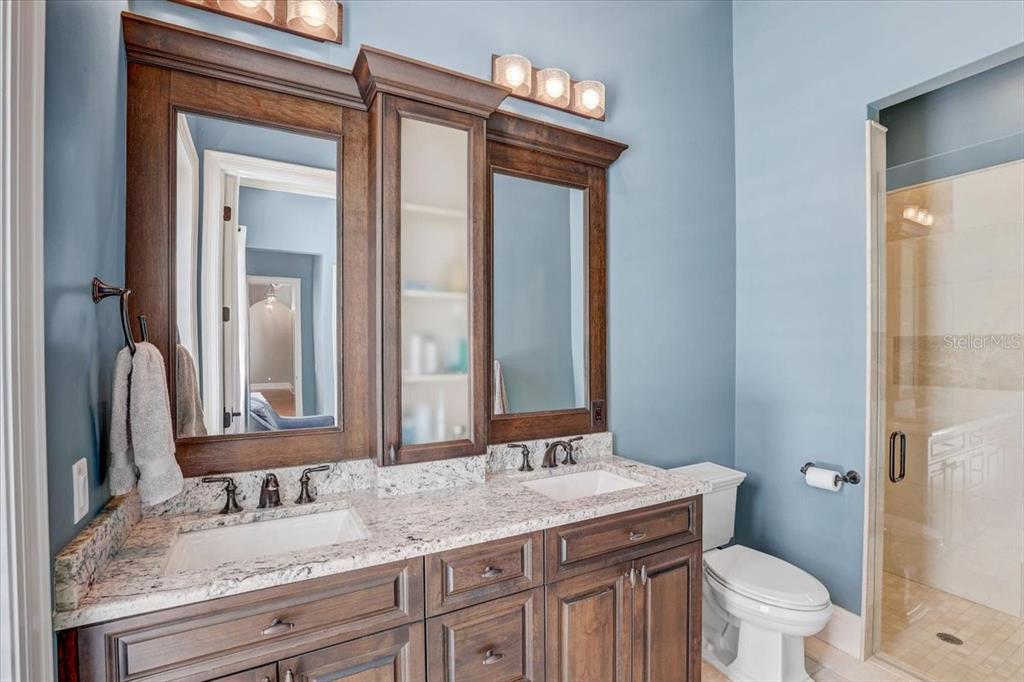 2620 Tylers Riv Run Lutz, FL 33559 - Photo 51 of 87 a bathroom with a granite countertop sink a toilet and a mirror