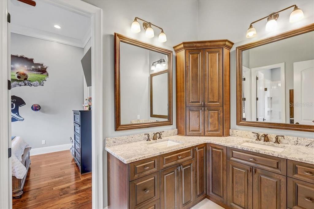 2620 Tylers Riv Run Lutz, FL 33559 - Photo 57 of 87 a bathroom with a granite countertop sink and a mirror