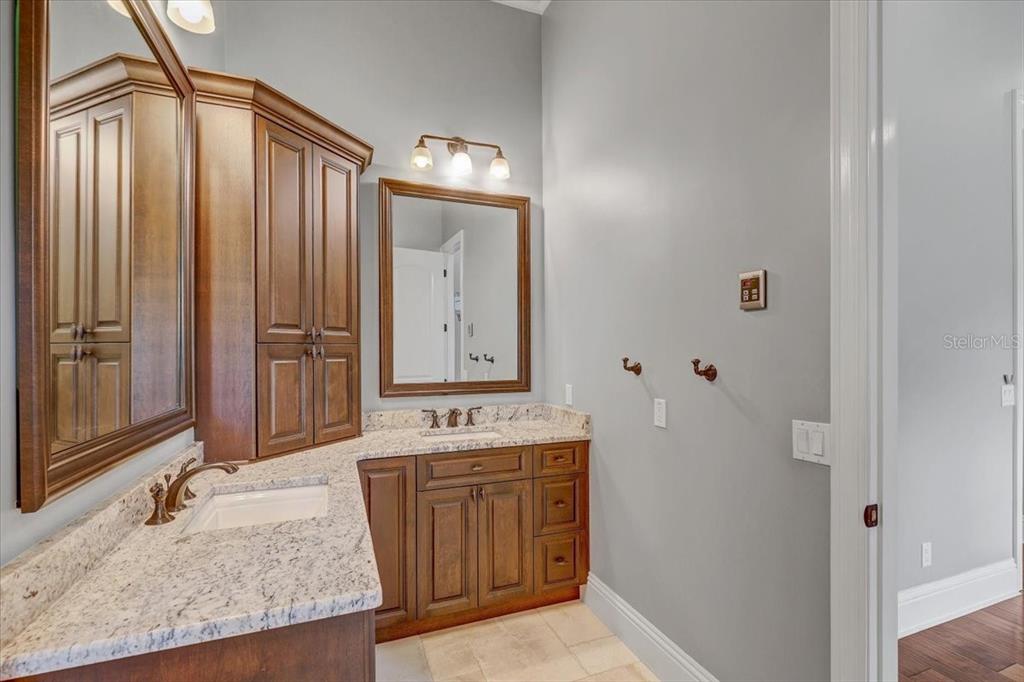 2620 Tylers Riv Run Lutz, FL 33559 - Photo 59 of 87 a bathroom with a granite countertop sink and a mirror