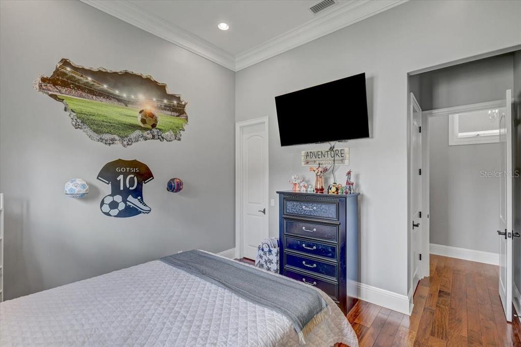 2620 Tylers Riv Run Lutz, FL 33559 - Photo 61 of 87 a bedroom with a bed and a flat screen tv