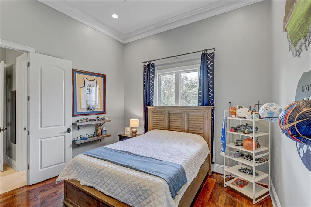 2620 Tylers Riv Run Lutz, FL 33559 - Photo 62 of 87