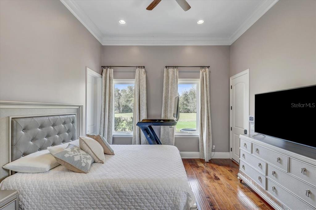 2620 Tylers Riv Run Lutz, FL 33559 - Photo 63 of 87 a bedroom with a bed and a flat screen tv