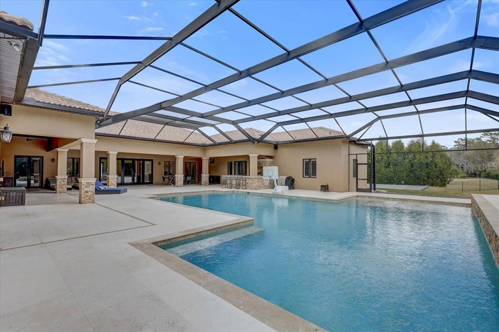 2620 Tylers Riv Run Lutz, FL 33559 - Photo 76 of 87 a view of a house with a swimming pool