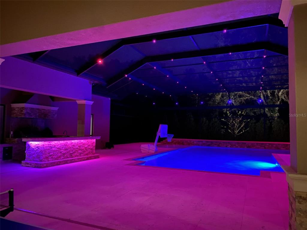 2620 Tylers Riv Run Lutz, FL 33559 - Photo 78 of 87