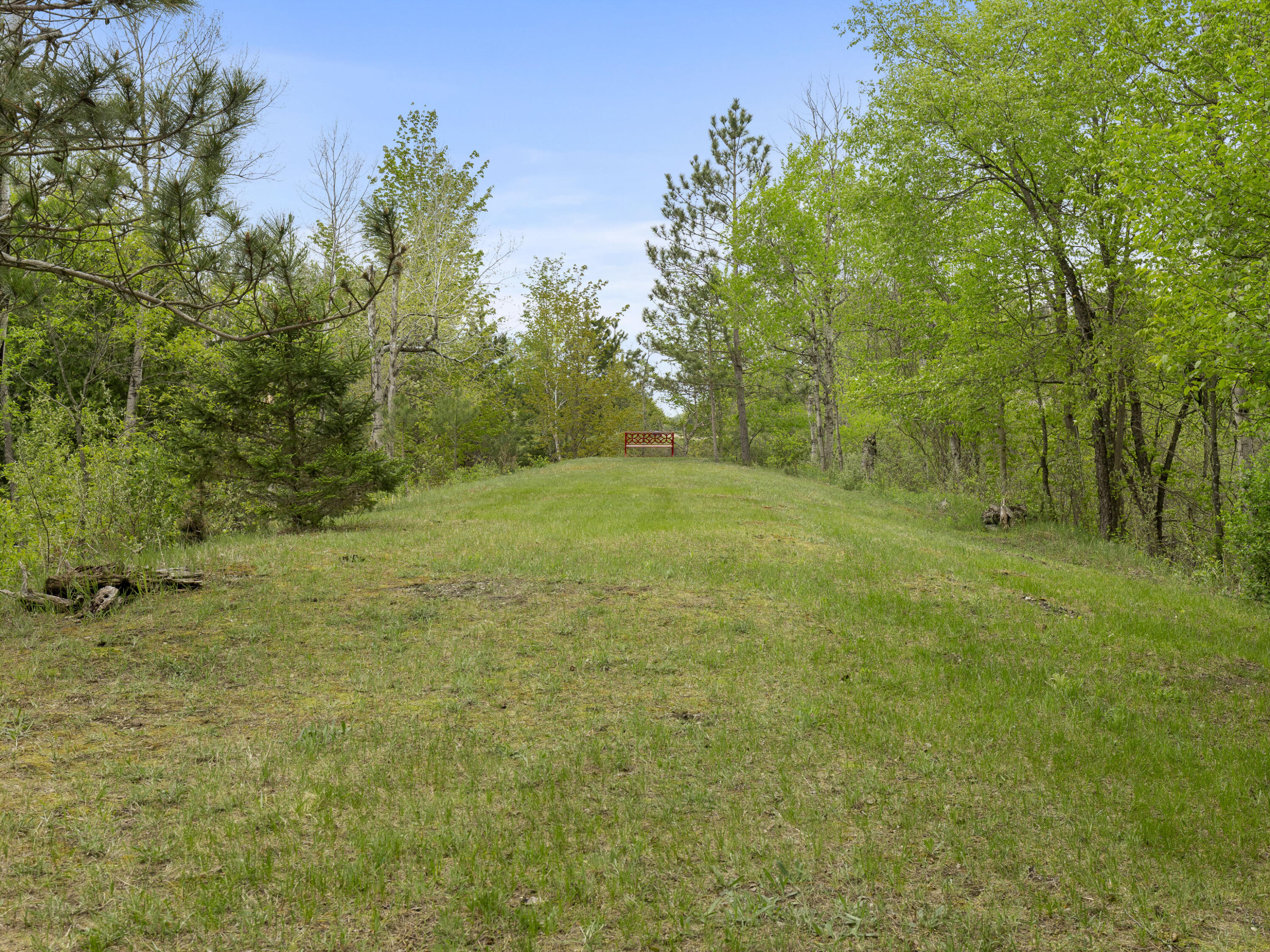 3791 Nostwick Road Thompsonville, MI 49683 - Photo 11 of 76 0S5A6668