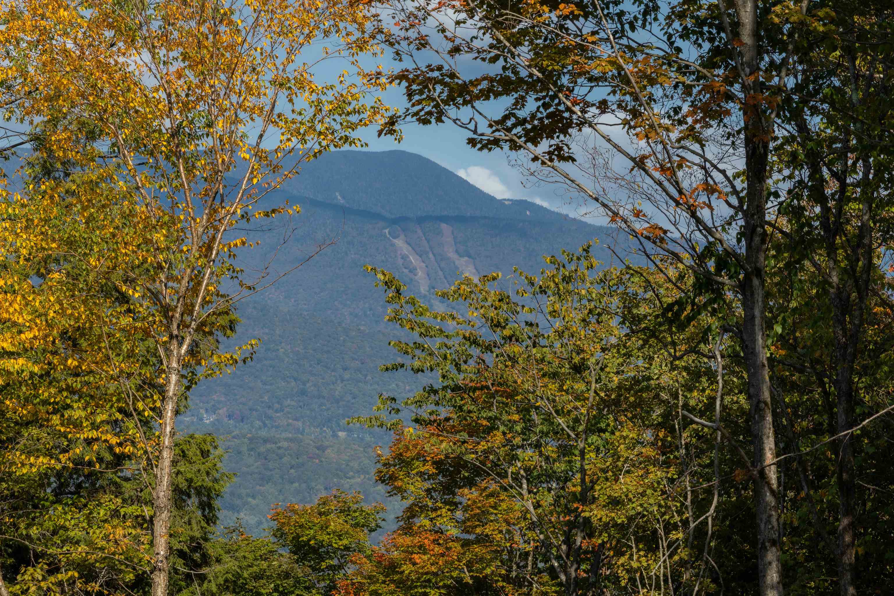 362 Hillside Road Warren, VT 05674 - Photo 23 of 24