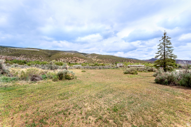 7343 North Sawtooth Cv Road Vernal, UT 84078 - Photo 59 of 64 Expansive open field with natural landscaping, distant mountains, and a mature evergreen tree