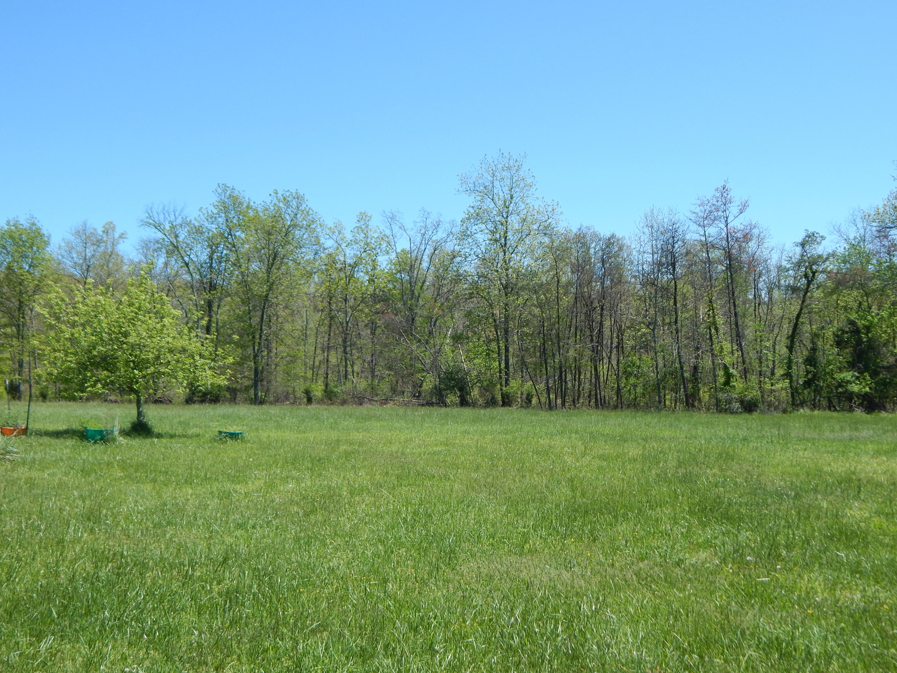 228 West Fork Road Crossville, TN 38572 - Photo 11 of 38 DSCN2493