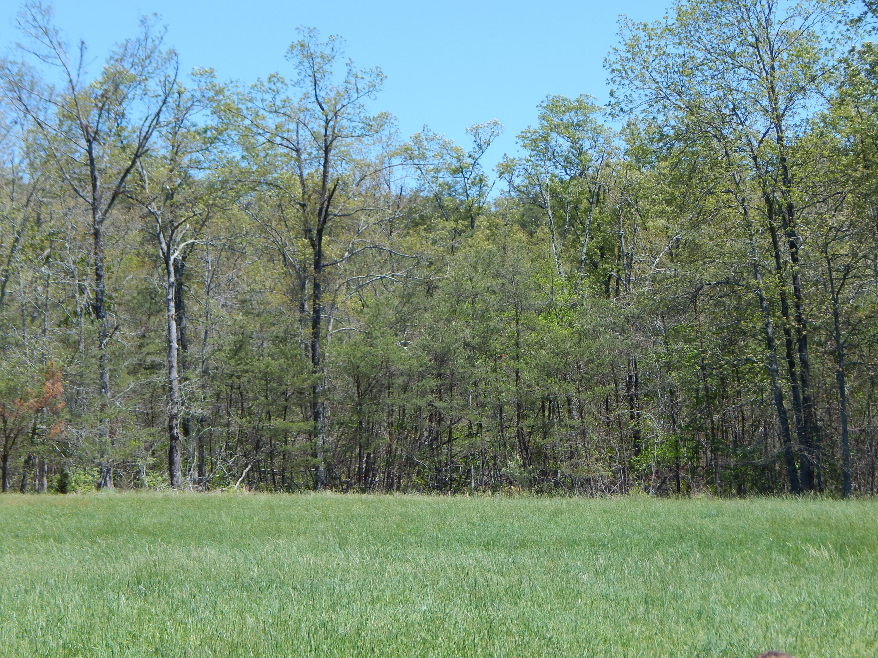 228 West Fork Road Crossville, TN 38572 - Photo 12 of 38 DSCN2494