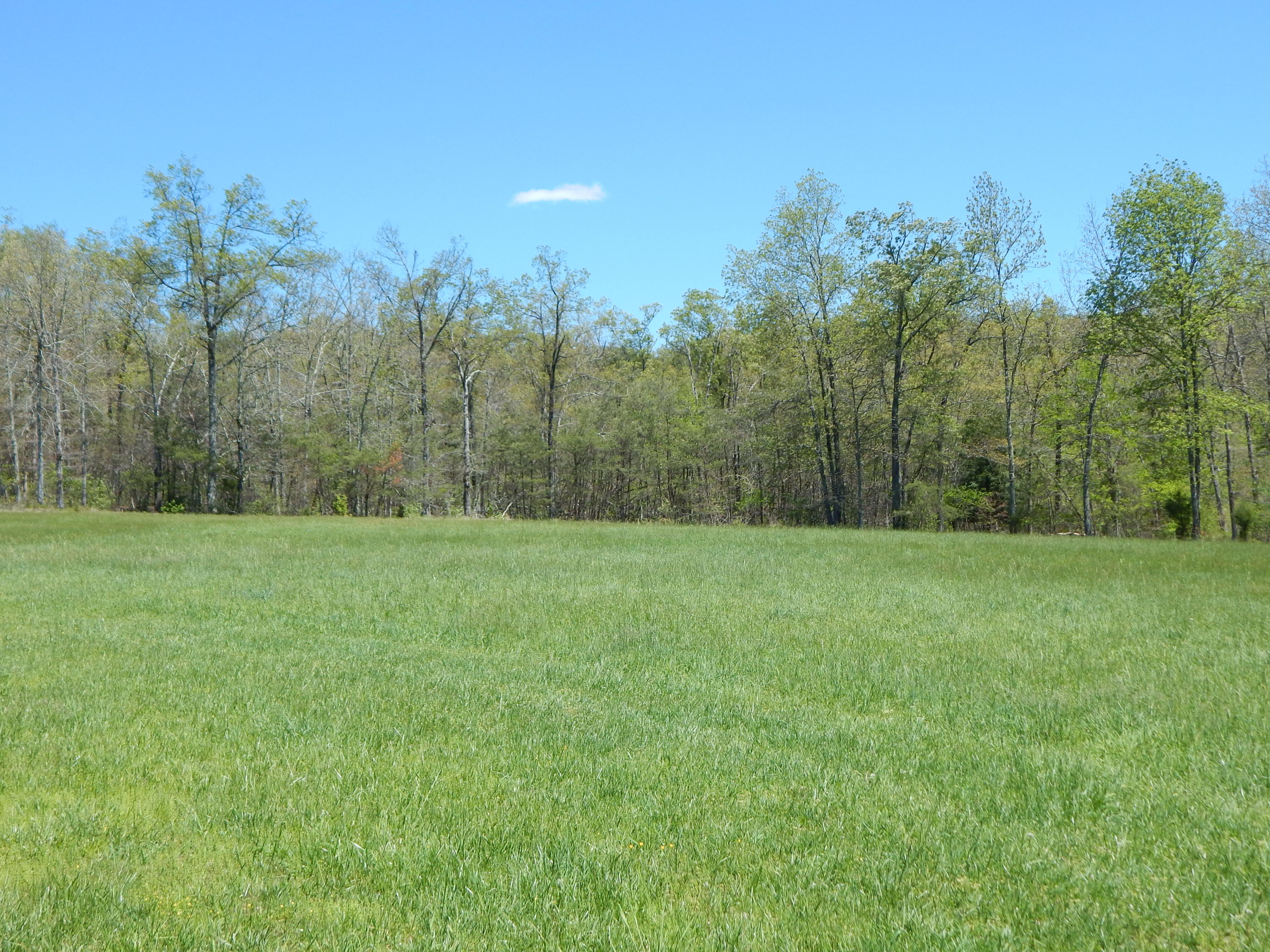 228 West Fork Road Crossville, TN 38572 - Photo 13 of 38 DSCN2495