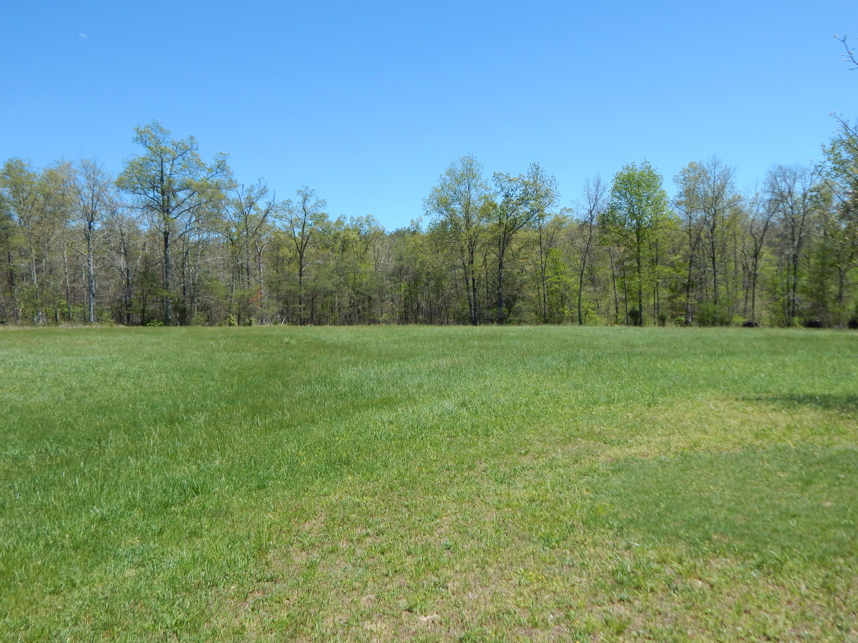 228 West Fork Road Crossville, TN 38572 - Photo 14 of 38 DSCN2500