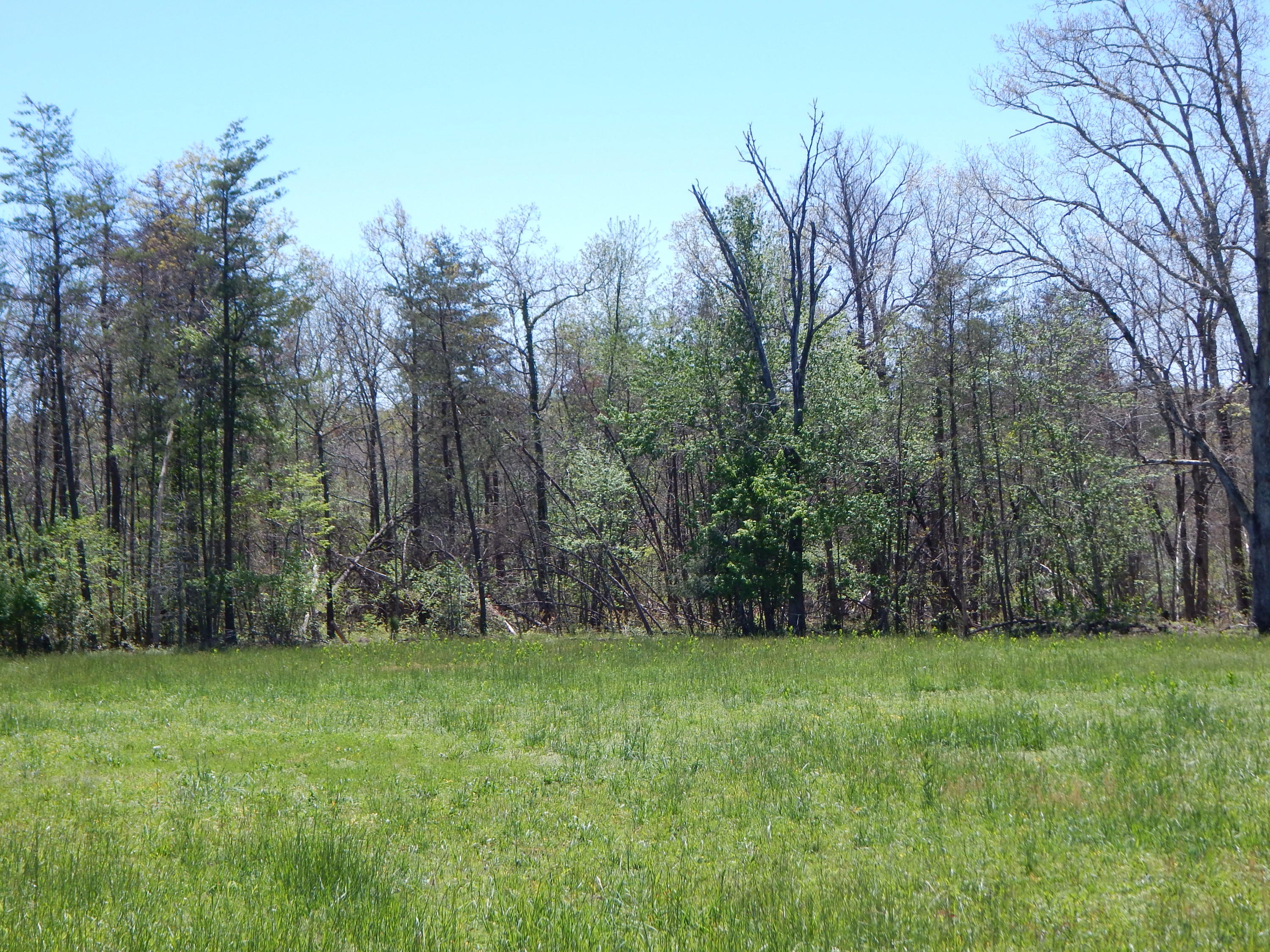 228 West Fork Road Crossville, TN 38572 - Photo 9 of 38 DSCN2485