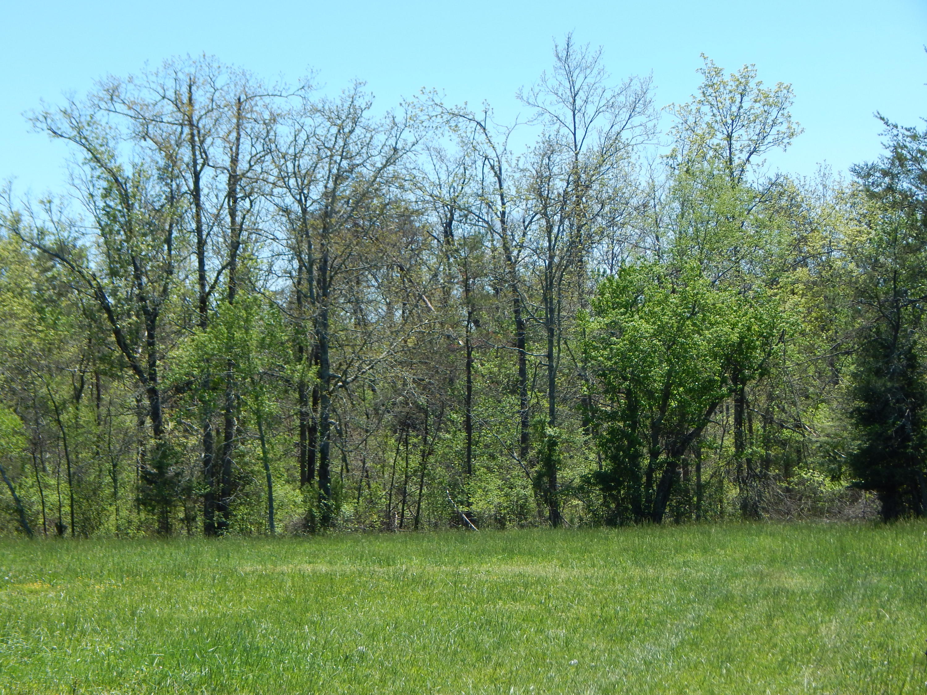 228 West Fork Road Crossville, TN 38572 - Photo 10 of 38 DSCN2486