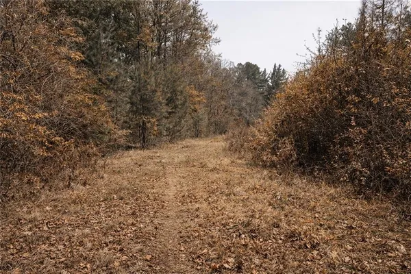 $599,000 | 0 Hwy 1207 Highway, Deville, LA 71328