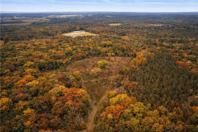 $599,000 | 0 Hwy 1207 Highway, Deville, LA 71328