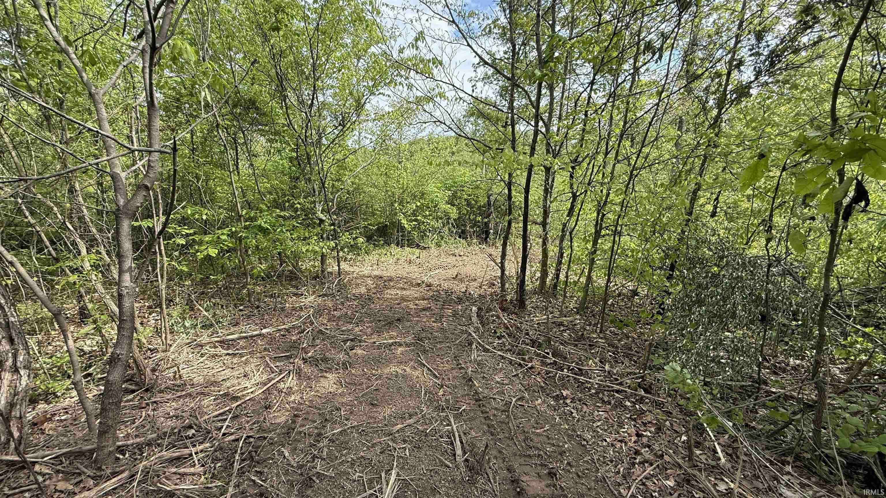 0 St Road Bloomfield, IN 47424 - Photo 11 of 32