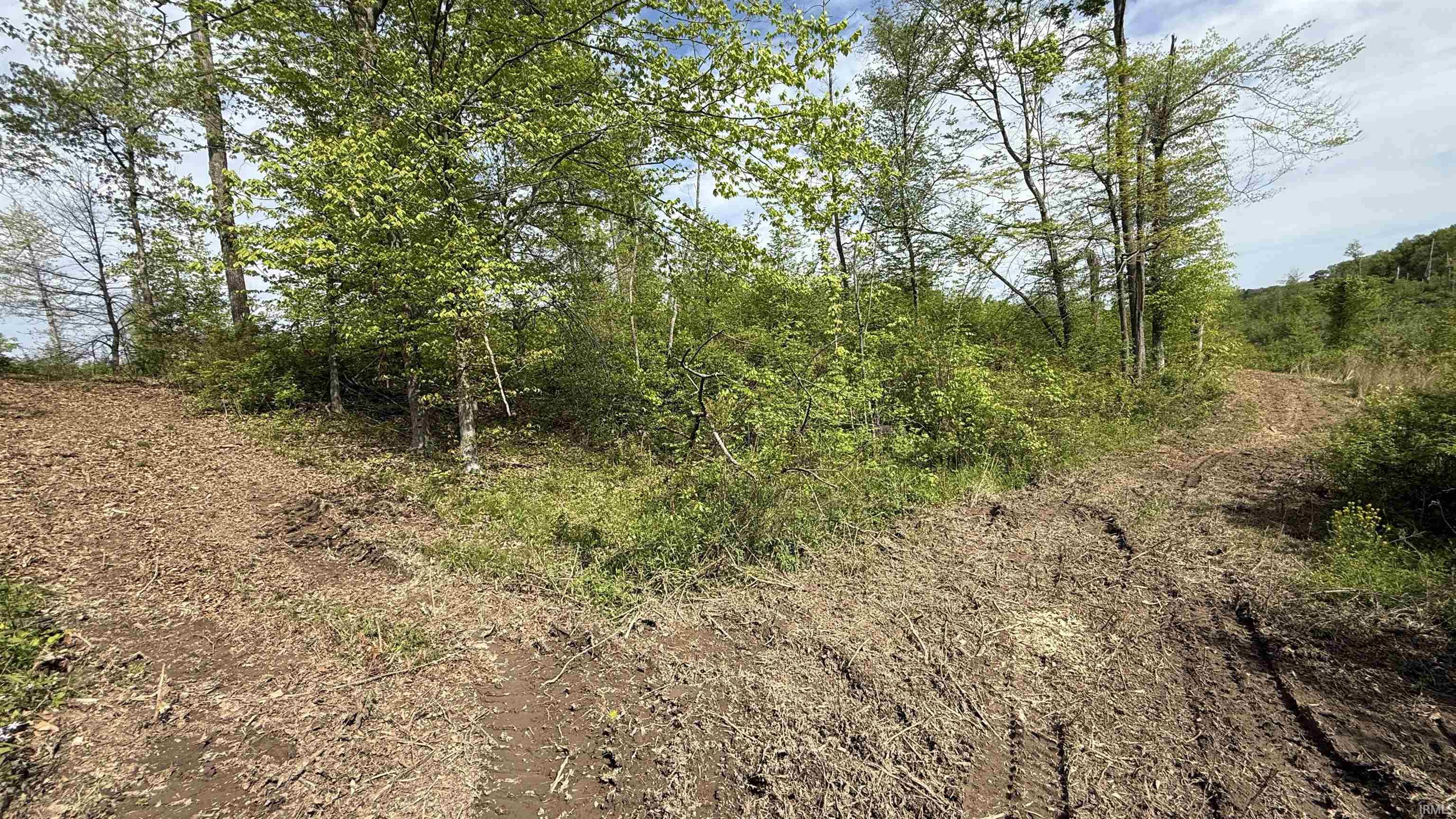 0 St Road Bloomfield, IN 47424 - Photo 13 of 32