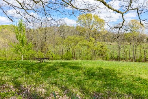 228 Wabash Road Fayetteville, TN 37334 - Photo 35 of 50 a view of a yard with a tree