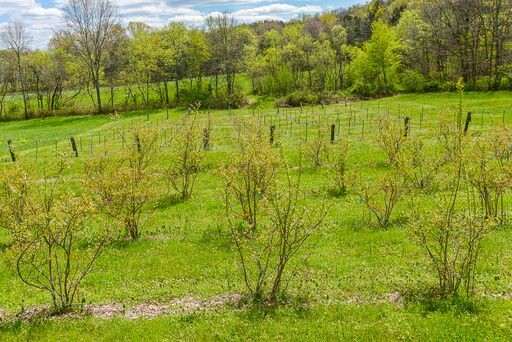 228 Wabash Road Fayetteville, TN 37334 - Photo 39 of 50 a view of an outdoor space and a yard