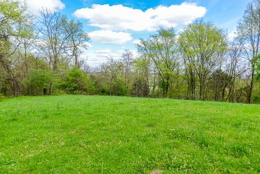 228 Wabash Road Fayetteville, TN 37334 - Photo 47 of 50 a view of a yard with a trees