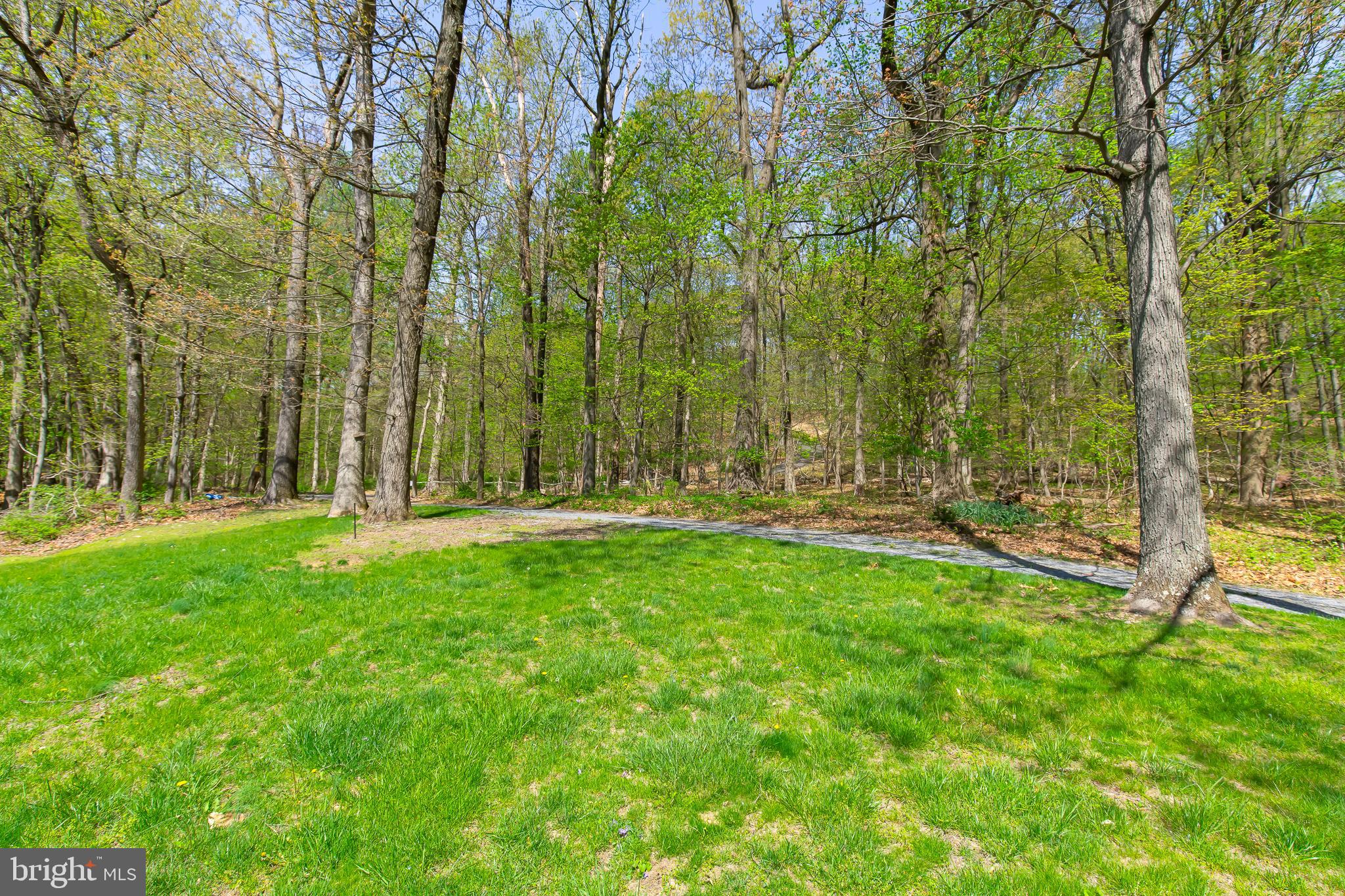 1749 Ramich Road Temple, PA 19560 - Photo 41 of 48 a view of a back yard