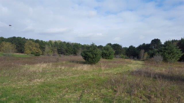 Lot 10 Berryfield Road Yarmouth, ME 04096 - Photo 4 of 6 Photo