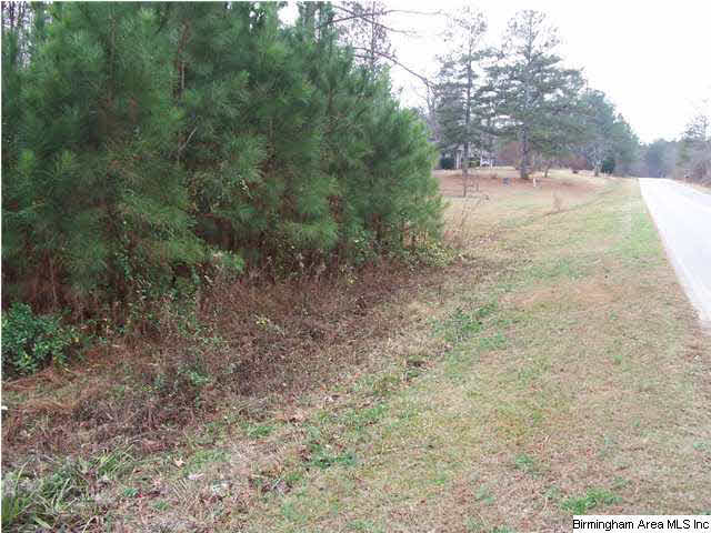 Providence Road, Unit 1 5 Tallapoosa, GA 30176 - Photo 2 of 5