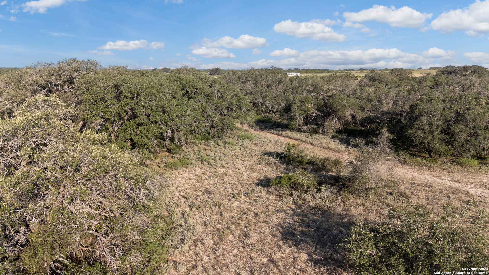 0 County Road 777 Devine, TX 78016 - Photo 5 of 8 a view of a city with lush green forest