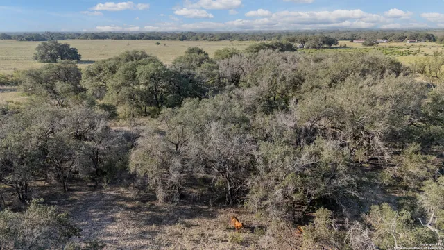 a view of a lake with a mountain and trees