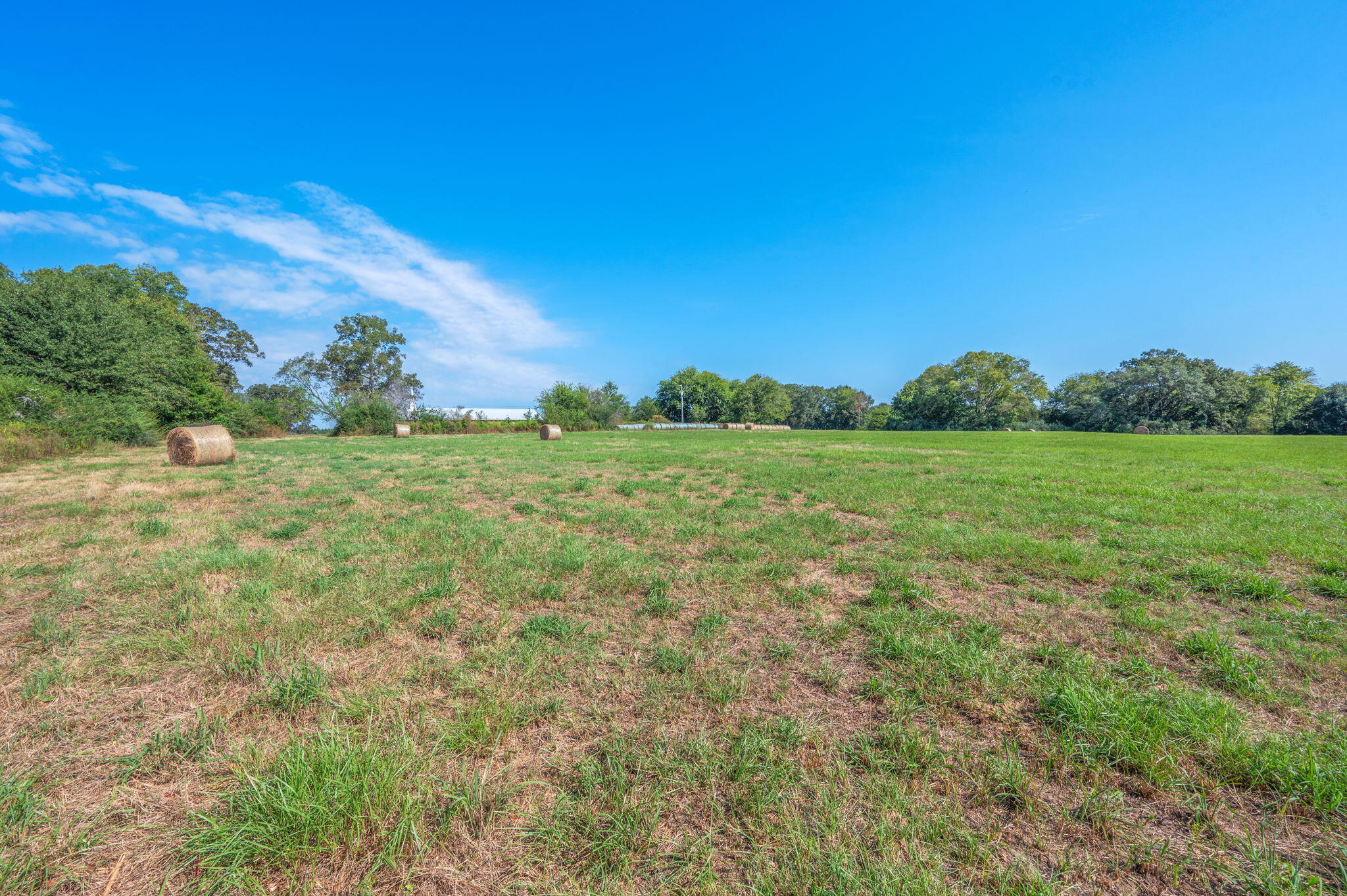 331 North Defuniak Springs DeFuniak Springs, FL 32433 - Photo 4 of 18 2-web-or-mls-us-331