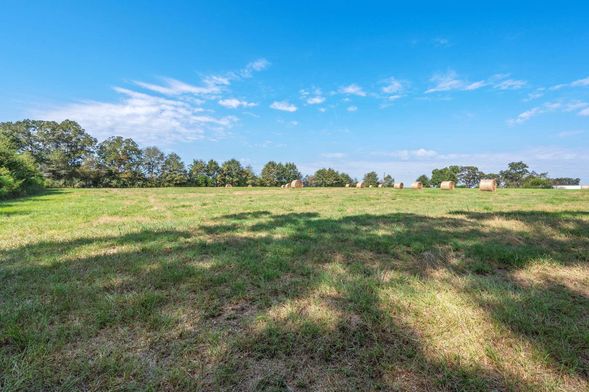331 North Defuniak Springs DeFuniak Springs, FL 32433 - Photo 8 of 18 6-web-or-mls-us-331