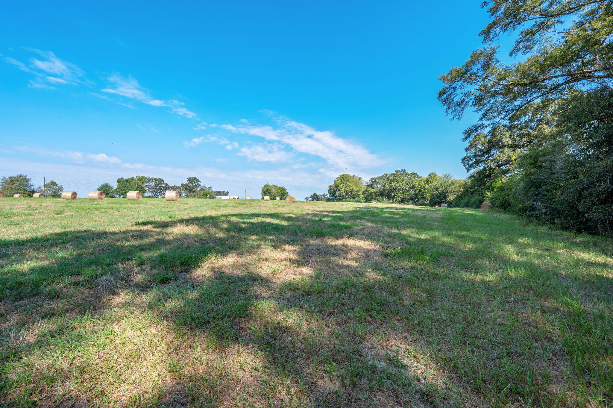 331 North Defuniak Springs DeFuniak Springs, FL 32433 - Photo 9 of 18 7-web-or-mls-us-331
