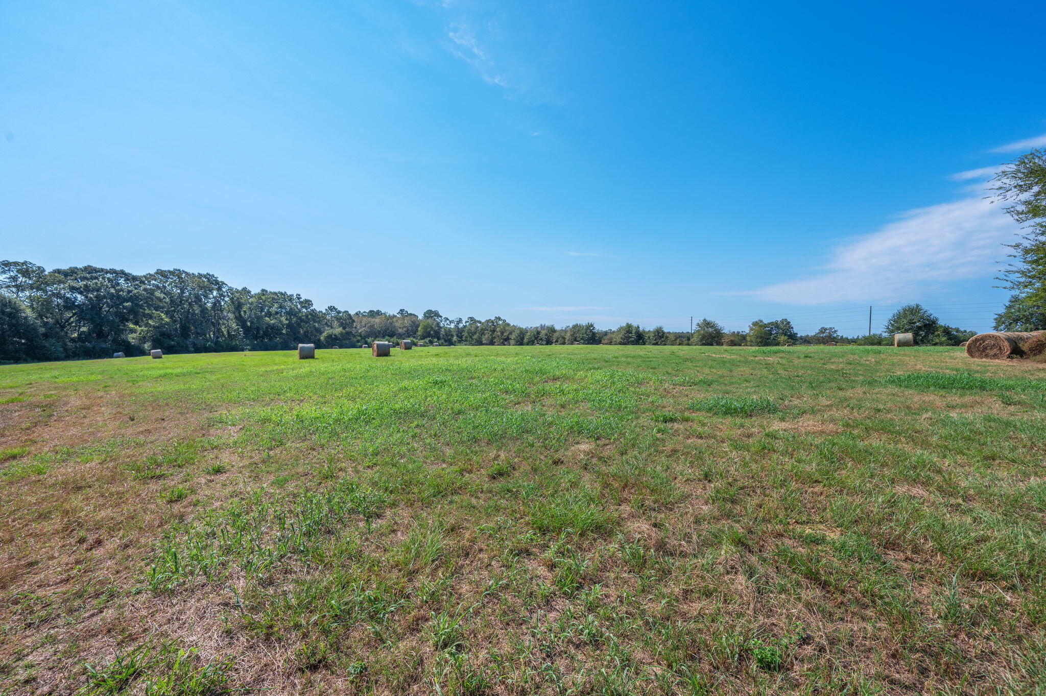 331 North Defuniak Springs DeFuniak Springs, FL 32433 - Photo 10 of 18 8-web-or-mls-us-331