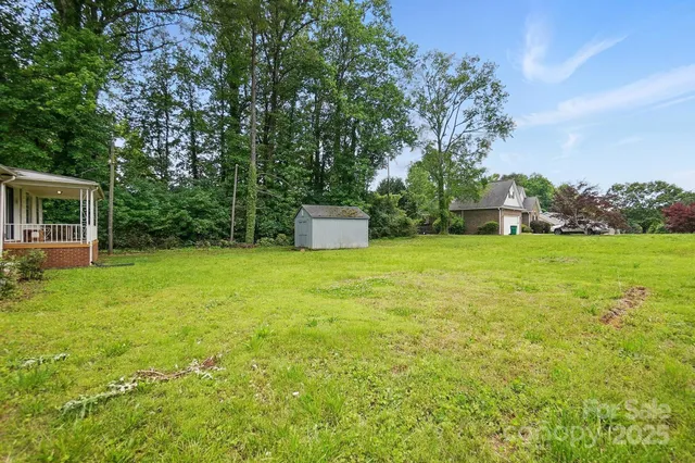 a view of a big yard with plants and large trees