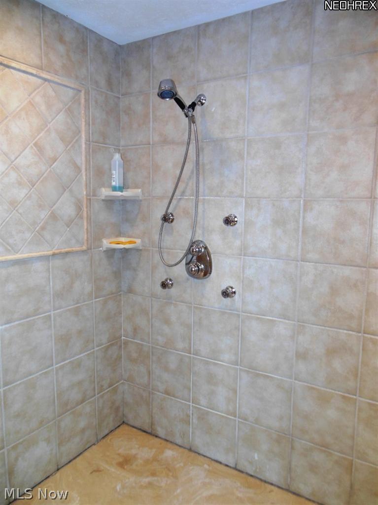 3366 Azalea Ridge Drive Perry, OH 44081 - Photo 13 of 25