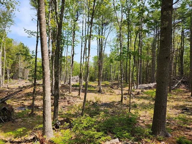 $1,950,000 | Lot 2 Woodland Drive, Kennebunkport, ME 04046