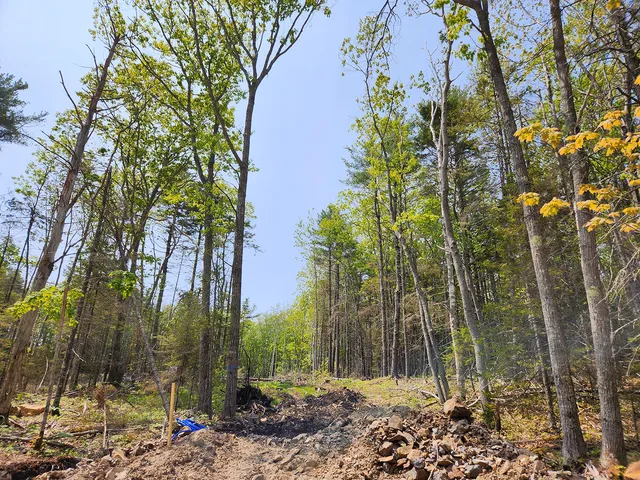 $1,950,000 | Lot 2 Woodland Drive, Kennebunkport, ME 04046