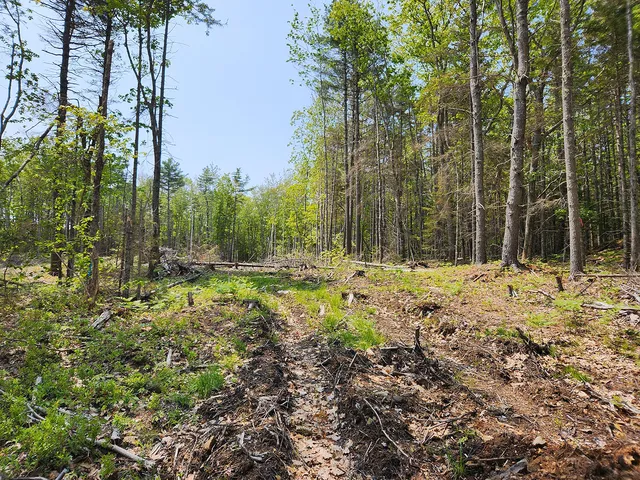 $1,950,000 | Lot 2 Woodland Drive, Kennebunkport, ME 04046