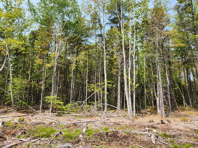 $1,950,000 | Lot 2 Woodland Drive, Kennebunkport, ME 04046