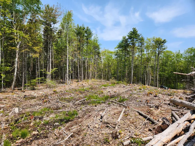 $1,950,000 | Lot 2 Woodland Drive, Kennebunkport, ME 04046