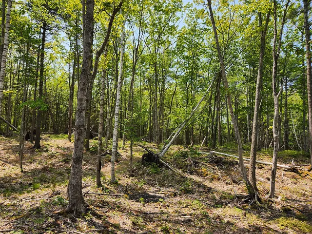 $1,950,000 | Lot 2 Woodland Drive, Kennebunkport, ME 04046