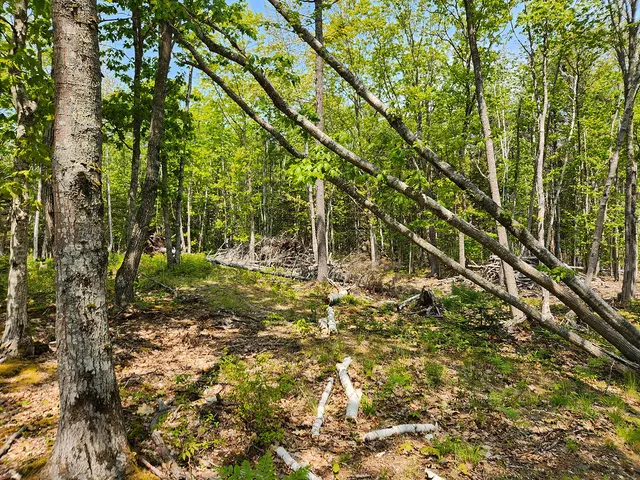 $1,950,000 | Lot 2 Woodland Drive, Kennebunkport, ME 04046