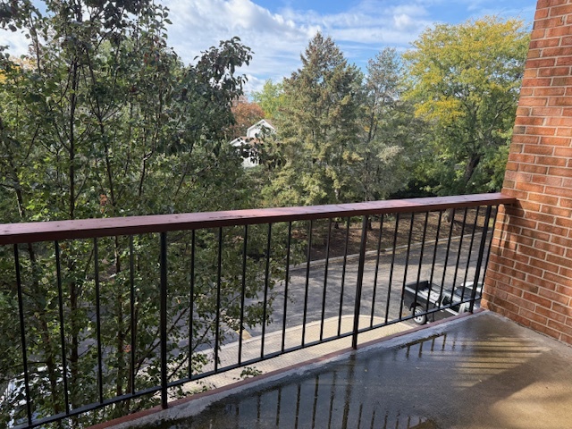 801 79th Street, Unit 310 Darien, IL 60561 - Photo 11 of 18 a view of balcony with wooden floor