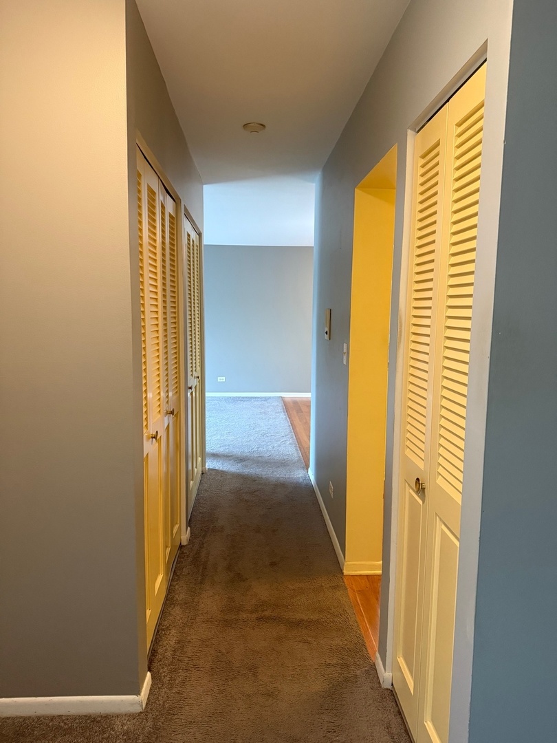 801 79th Street, Unit 310 Darien, IL 60561 - Photo 15 of 18 a view of a hallway with windows
