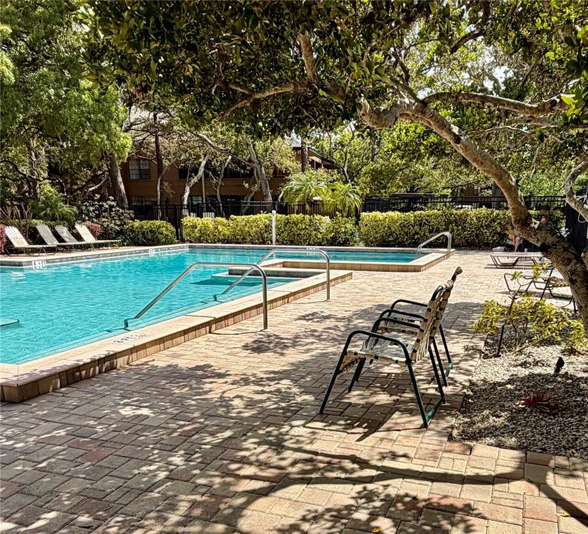 1001 Lennox Road West Palm Harbor, FL 34683 - Photo 24 of 27 a view of a yard with swimming pool